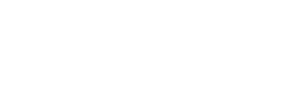LUCILLE GELDENHUYS ATTORNEYS
